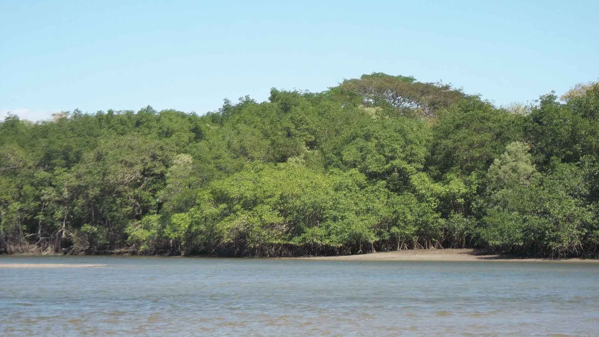 Estuary coastline in Las Baulas National Park in Playa Grande, Costa Rica