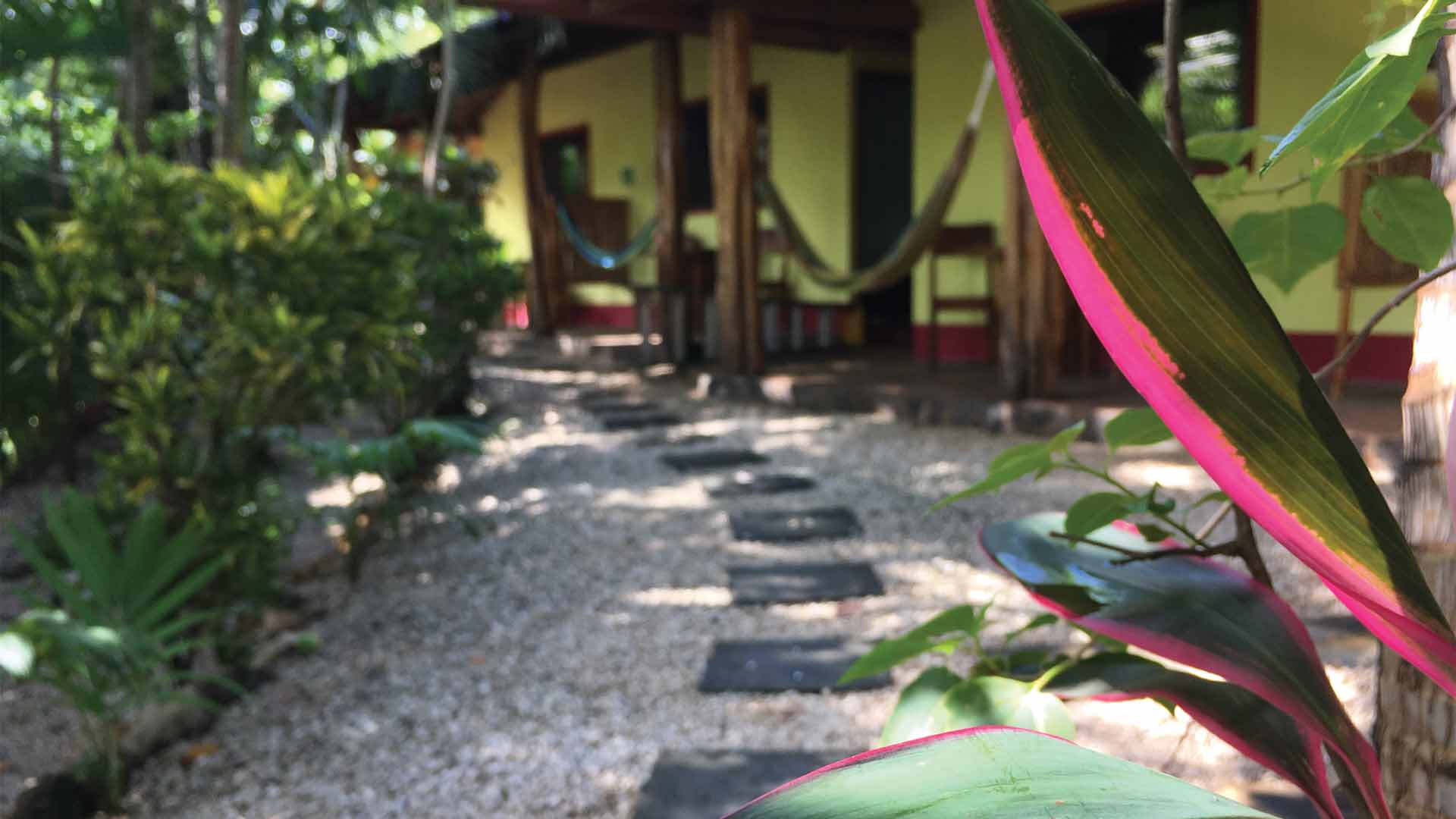 Plant by walkway to rooms and patios with hammocks, chairs, and tables at boutique hotel Indra Inn in Playa Grande, Costa Rica