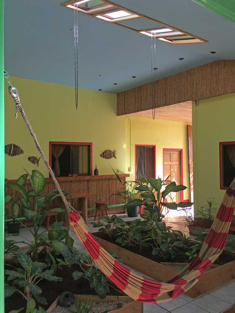 Indoor garden and striped hammock at boutique hotel Indra Inn