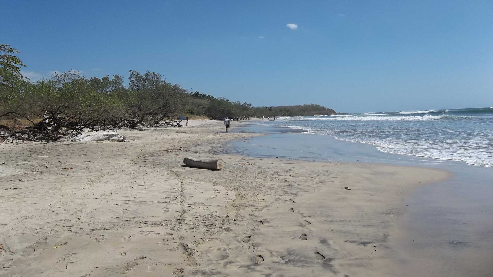 Sunny day on the beach in Playa Grande, Costa Rica