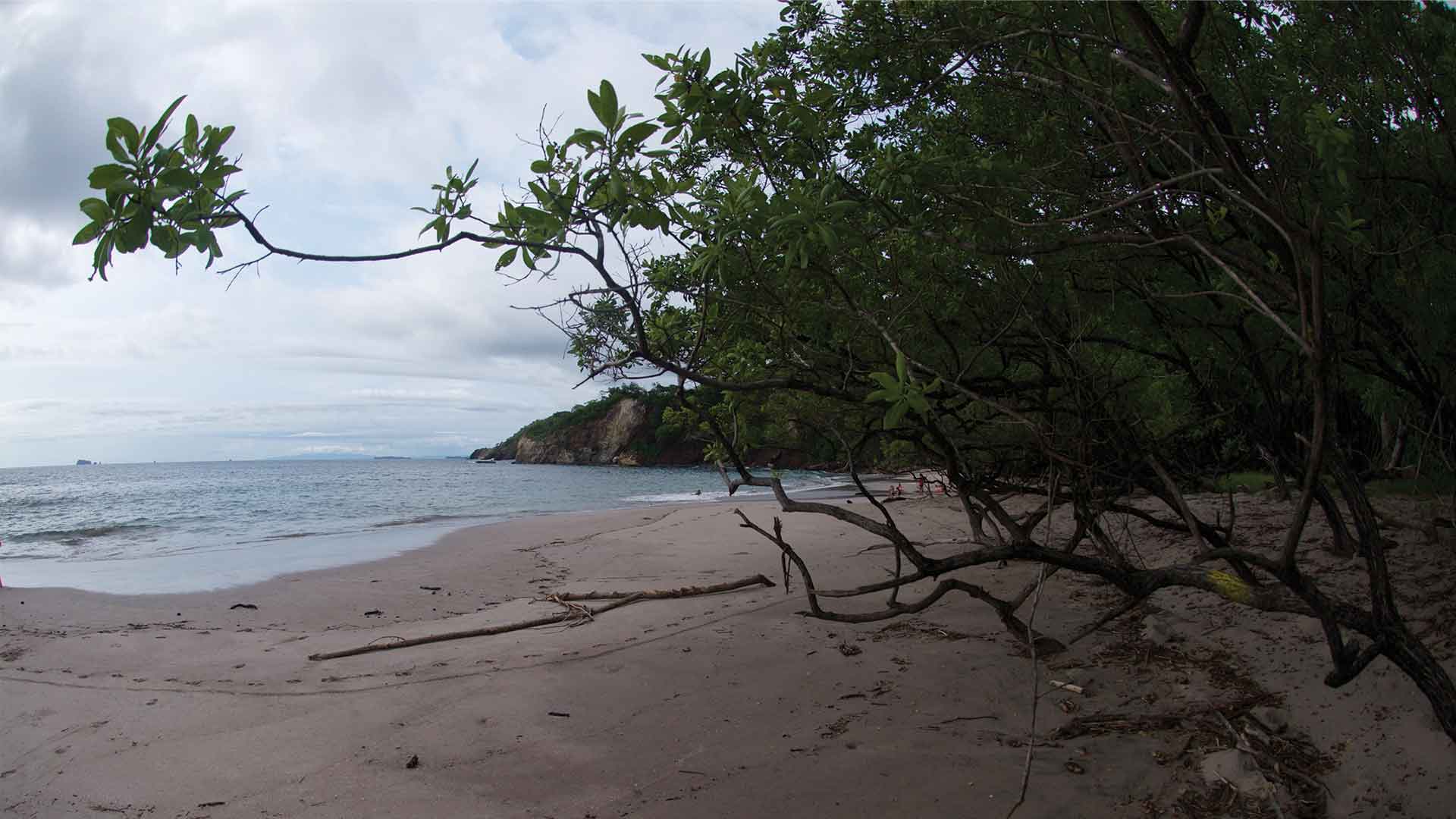 Cloudy Playa Mina sandy beach behind a bush