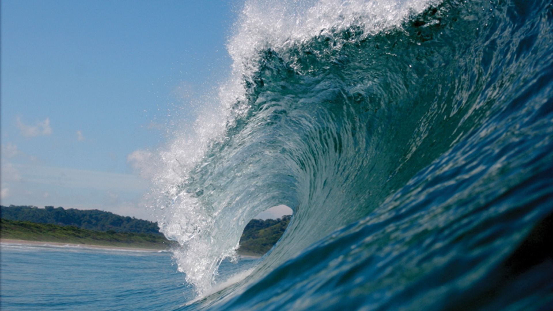 Sideview of a wave cresting at Playa Grande in Costa Rica