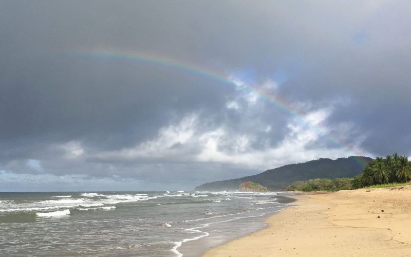 Rainbow over waves, sandy beach, and palm trees at Playa Grande in Guanacaste, Costa Rica