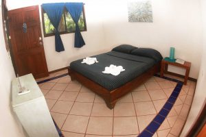 Fisheye view of bed, window, door, wall art, bedside table, and bookshelf in double room at Indra Inn