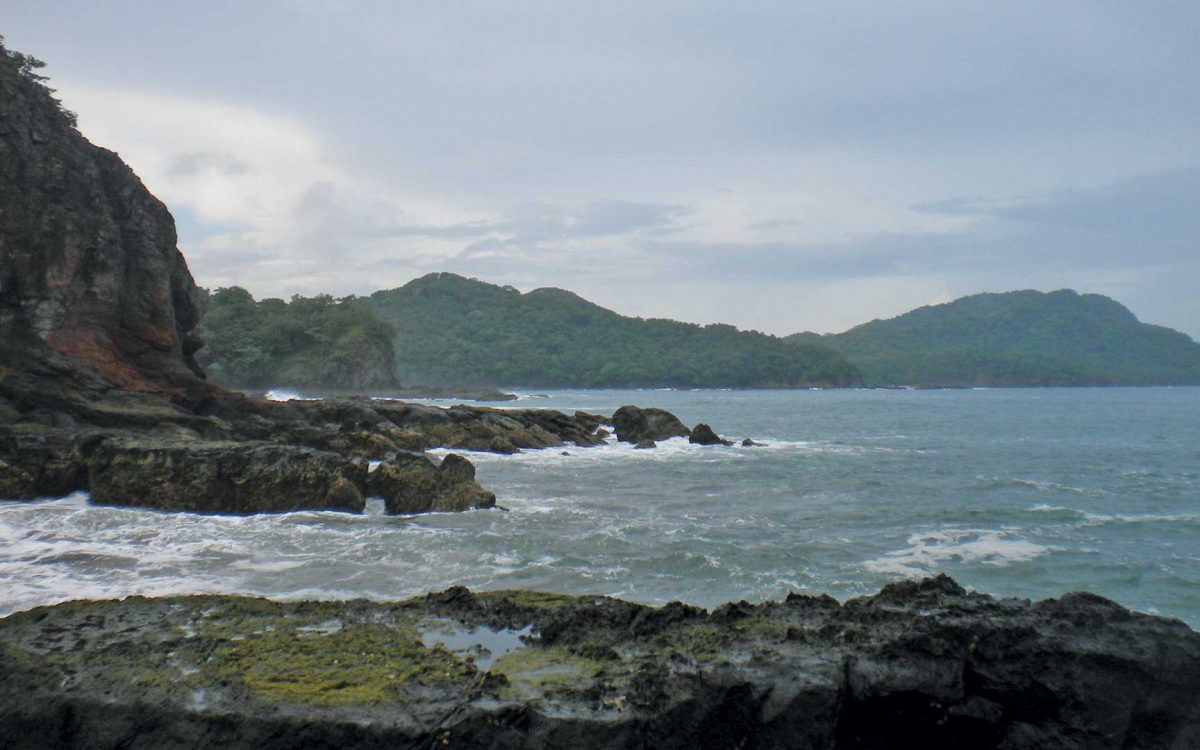 Moss on black rocks on a secluded beach in Guanacaste, Costa Rica